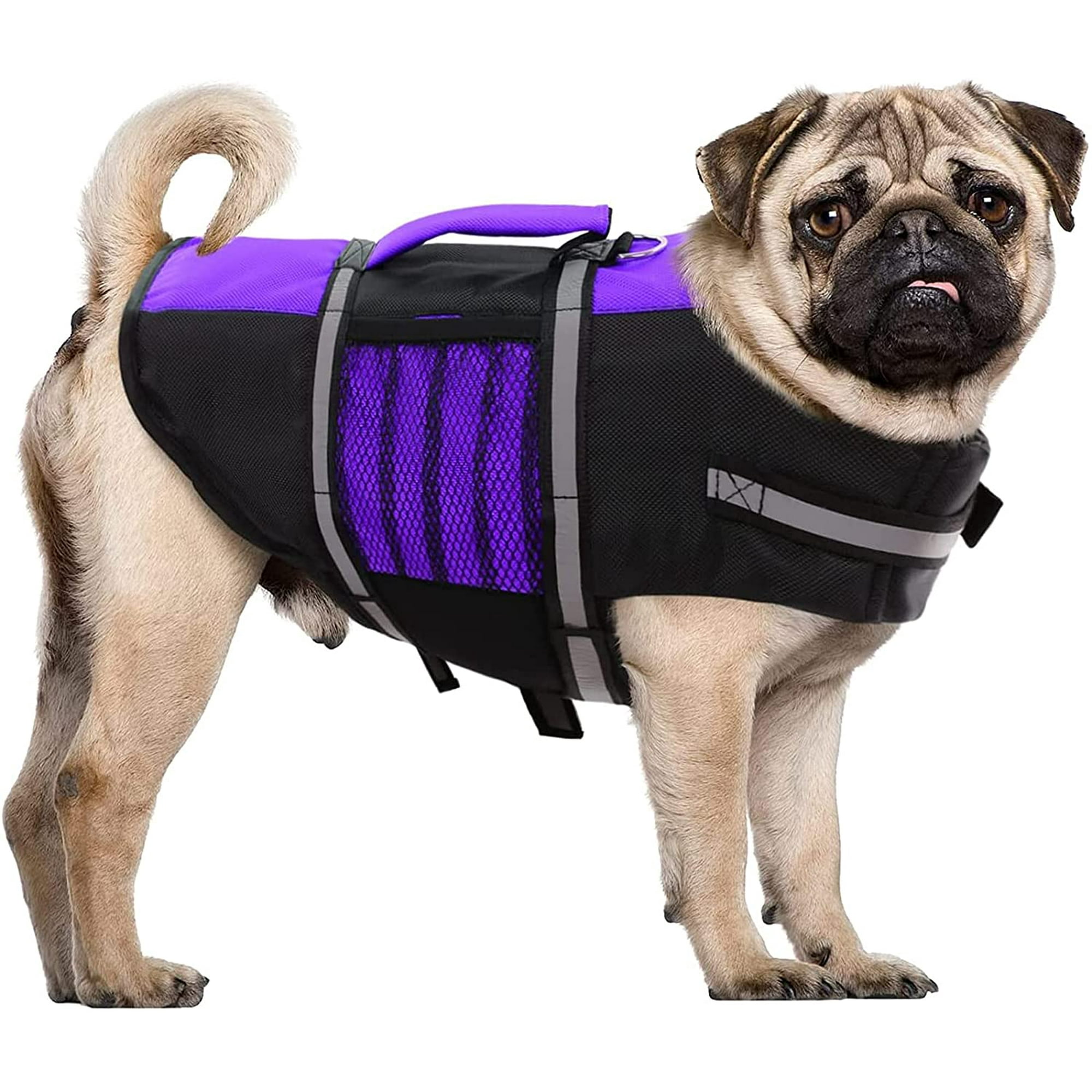 Can A Dog Wear A Human Life Vest