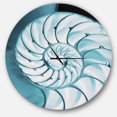 thumbnail image 1 of Designart 'Chambered Nautilus Shell ' Modern wall clock, 1 of 6