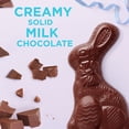 thumbnail image 3 of RUSSELL STOVER Easter Bunny Solid Milk Chocolate Candy Rabbit, 7 oz., 3 of 9