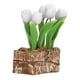 thumbnail image 4 of Tulipanes de Muñecas Flor de Tulipanes, Tulips Artificiales Simulados Flor Modelo Miniatura Miniatura para Hogar, 4 of 7