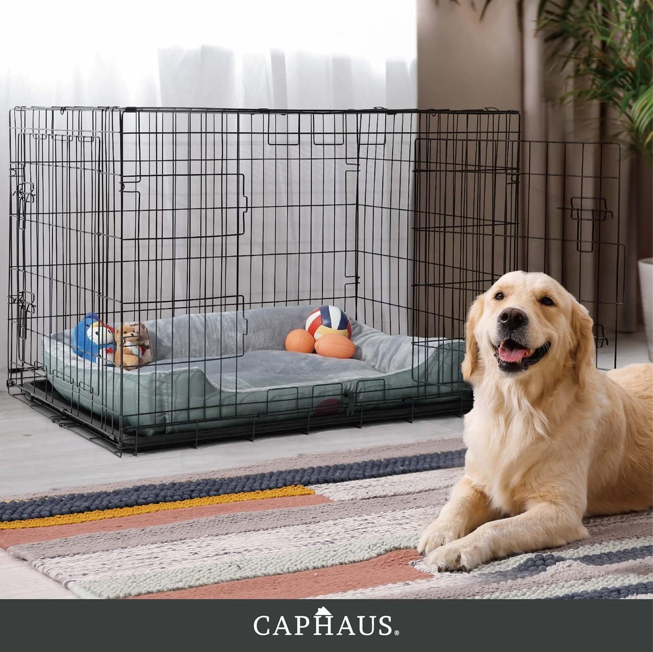 CAPHAUS Foldable Dog Crate Wire Metal Dog Kennel w/ Leak-Proof Pan & Protecting Feet & Divider Panel, Single or Double Door, Small, Medium & Large Dog Crate Indoor Wire Dog Cage, 30” w/ Single Door