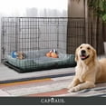 CAPHAUS Foldable Dog Crate Wire Metal Dog Kennel w/ LeakProof Pan