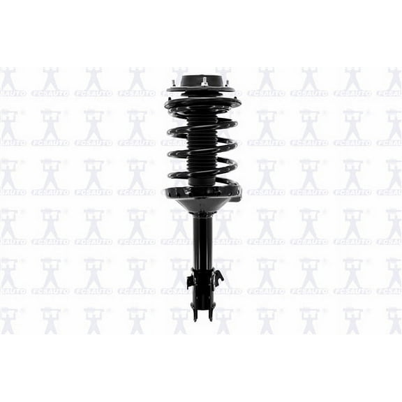 Suspension Strut and Coil Spring Assembly