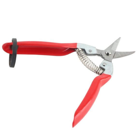 Tijeras de podar Sincero para bonsái y árboles frutales hoja curva