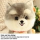 thumbnail image 5 of Juguetes de piscina, juguetes para bebés y niños pequeños. Cachorro de peluche de juguete, adorable mascota, suave y tierna. Ideal para regalar a parejas, niños, familiares y amigos., 5 of 6