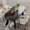 Black, variant on 70.86" Oval Rustic Dining Table for 6-8 People, Wood Kitchen Table, Rustic Dinner Room Table with Sturdy Tapered Legs