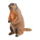 thumbnail image 1 of Modelo de Marmota Figura de Juego de Animales Modelo de Juego Realista para El Hogar Artesanía de Educativas Tempranas para Niños Niñas Niñas, 1 of 8