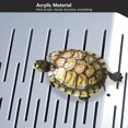 thumbnail image 4 of Thick AcrylicBasking Platform with Hollowed Steps, Climbing Ramp, for Reptiles, Easy to Clean, 4 of 7