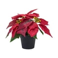 thumbnail image 2 of Planta de Pascua artificial navideña Flores artificiales navideñas Flores de imitación Estilo B, 2 of 9