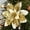 A Gold, variant on Christmas Poinsettia Artificial Flowers Christmas Tree Wreaths Garland Decoration 15 Pcs 5.5" Glitter Flowers Picks Decor for Xmas New Year Wedding Party Ornaments Gold A