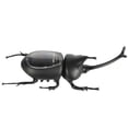 thumbnail image 1 of Hormiga Insecto Niños Cucaracha Juguetes Mágico Solar Juego de Insectos Aprender Juguetes Educativos Regalo Advancent WJ3916-04B, 1 of 7