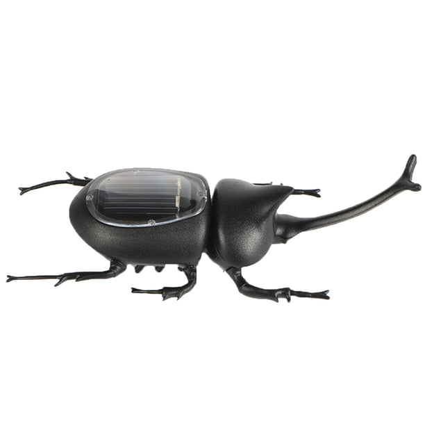 Hormiga Insecto Niños Cucaracha Juguetes Mágico Solar Juego de Insectos Aprender Juguetes Educativos Regalo Guardurnaity WJ3916-04B