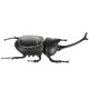 thumbnail image 1 of Hormiga Insecto Niños Cucaracha Juguetes Mágico Solar Juego de Insectos Aprender Juguetes Educativos Regalo Guardurnaity WJ3916-04B, 1 of 7