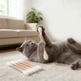 thumbnail image 1 of YWIYIUD 6PCS Colorful CottonSwab Toys Suitable for Cat Natural Chewing Needs Durable and Practical Cat Interactive Toys for Boredom Exercise Anxiety Reliefing and Play, 1 of 7
