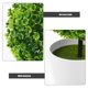thumbnail image 3 of Raindrops 2Ud Bola De Plantas Artificiales Para Hogar En Y Oficina, 3 of 6