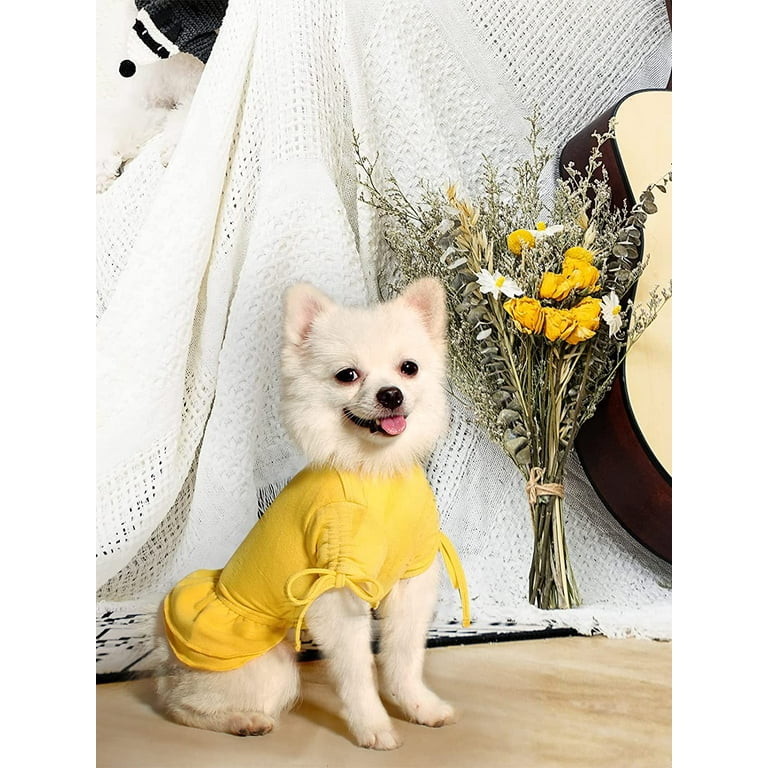 Dress of dog hotsell