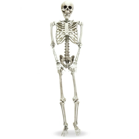 Best Choice Products 5ft Full Body Hanging Poseable Skull Skeleton Halloween Decoration with Movable Joints, White