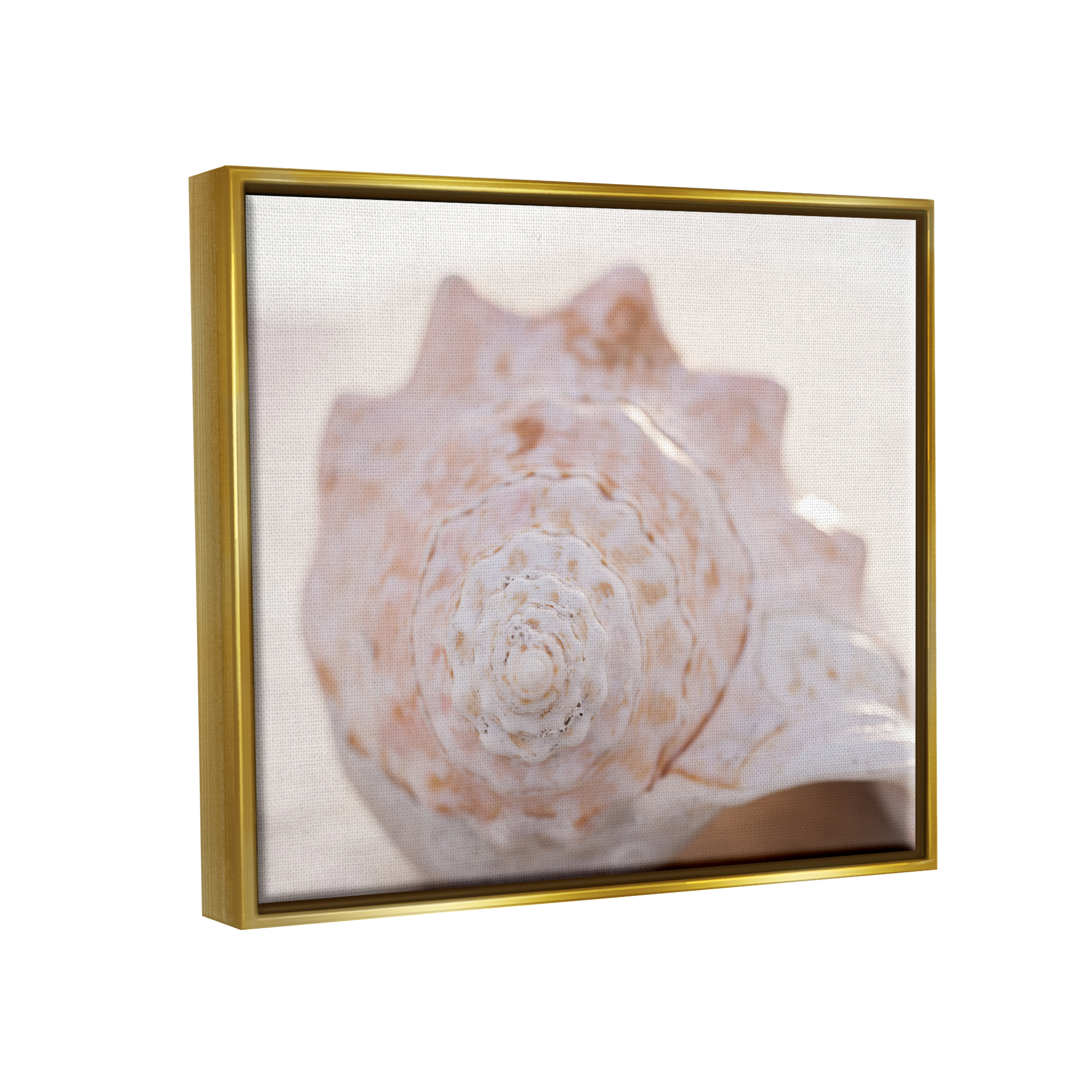 Stupell Beach Life Conch Shell Photography Landscape Photography Gold Floater Framed Art Print Wall Art