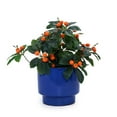 thumbnail image 3 of S-HOME Set of 3 Antique Blue Ceramic Planters, 15" 12" 9" Modern Flower Pots for Indoor/Outdoor, 3 of 12