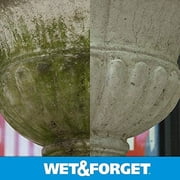 Wet & Forget Laundry Stain Remover Liquid - 1 Gal — Residential Use, Standard Application