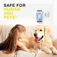 thumbnail image 2 of Ledander 4PCS Home Electric Insect Trap - Electric Insect Trap - Mosquito Killer 8 Lights, 2 of 5