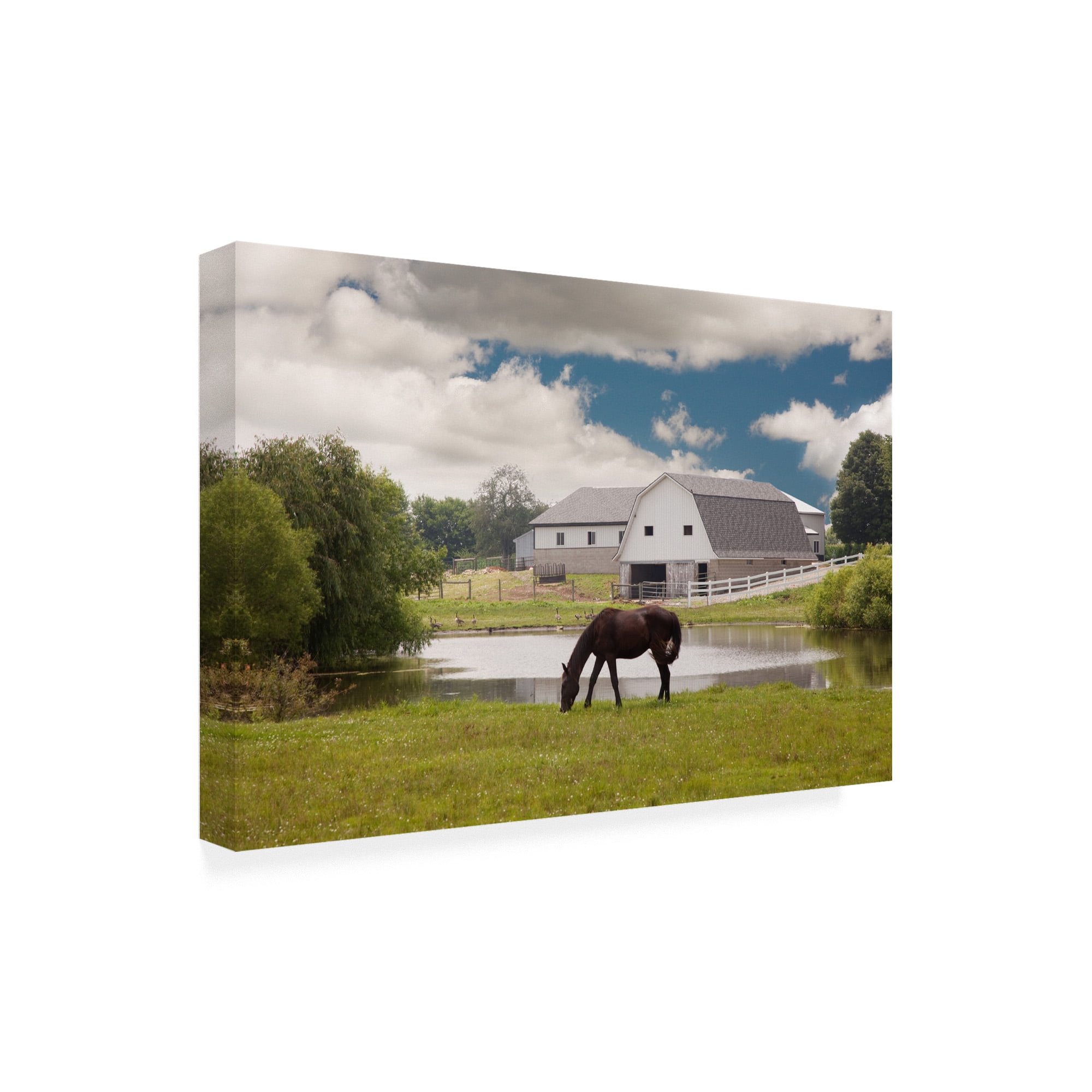 Trademark Fine Art 'Horse And Barn Shipshewana Indiana Color' Canvas Art by Monte Nagler
