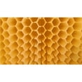 thumbnail image 4 of Small Four Spleen Automatic Bee Beehive Plastic Artesian Beehive Beekeeping Equipment Beekeeping Tools ,Practical Tools, 4 of 6