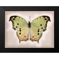 thumbnail image 2 of Reynolds, Richard 14x12 Black Modern Framed Museum Art Print Titled - Forest Mother-Of-Pearl, 2 of 5