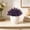 Purple, variant on Mini Artificial Potted Plants Faux Green Bonsai Desktop Decor Flowerpot Ornament Home Office Table Window Sill Entryway Decoration Wedding Festival Accent Realistic Plant
