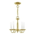 thumbnail image 4 of Livex Lighting Williamsburgh 5 Light Polished Brass Chain Hang/Ceiling Mount, 4 of 15