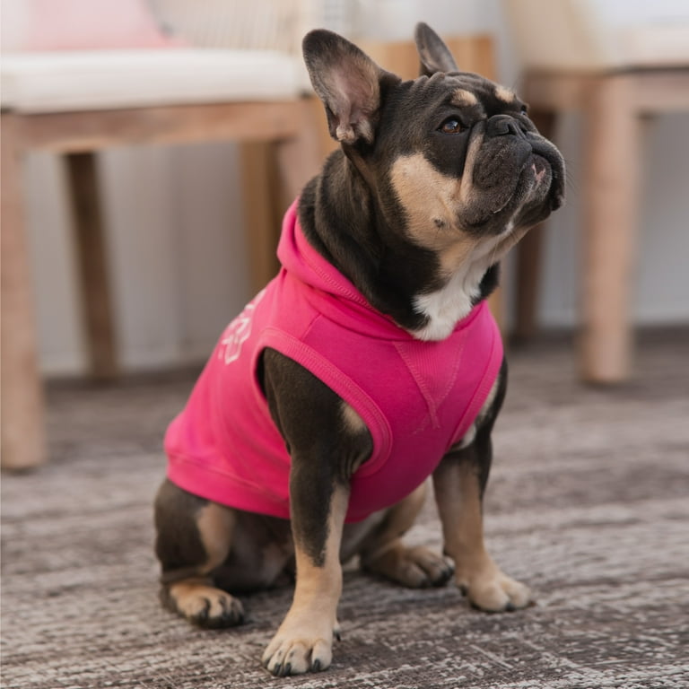French bulldog on sale t shirt gap
