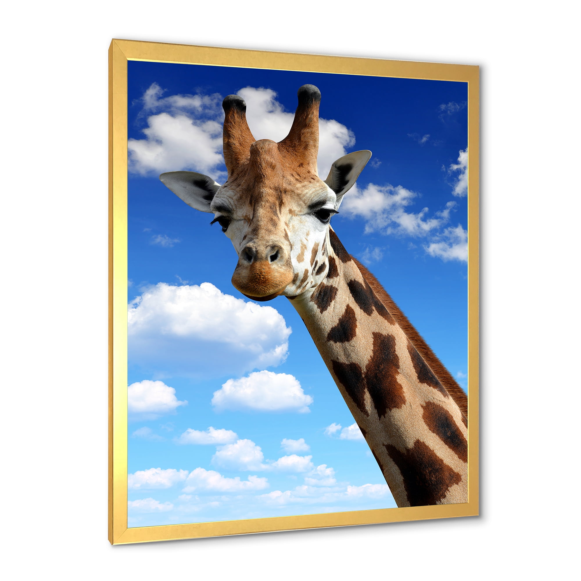 Designart 'A Giraffe On A Blue Sky Portrait' Farmhouse Framed Art Print