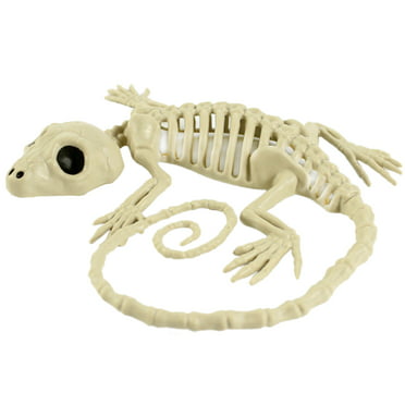 Bone Skeleton Dog Prop Halloween Decoration - Walmart.com
