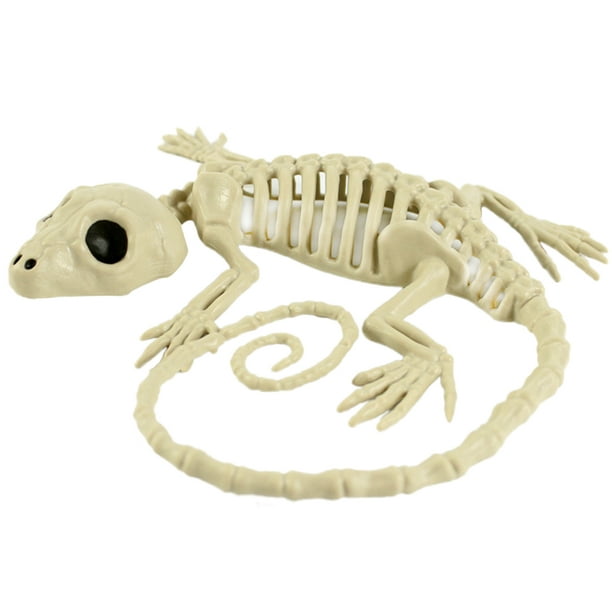 1PC Halloween Animal Scary Skeleton Props Happy Halloween Spooky Skull Animal  Skeleton Frame (Gecko) 