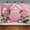 Pink2, variant on Pink Cartoon Farm Backdrop for Girl Pink Farm Barn Baby Shower Party Photography Background Western Country Farm Cowgirl Birthday Party Decorations Banner Supplies Photo Booth Props