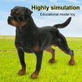 thumbnail image 4 of Sonew Rottweiler Model Toy,Rottweiler Model,RottweilerSimulation Model Ornaments Desktop Decoration Child Educational Toy, 4 of 11