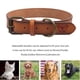 thumbnail image 4 of Collar de cuero para perros, ajustable, duradero y resistente., 4 of 5
