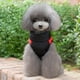 thumbnail image 3 of Chaleco Impermeable Con Capucha De Invierno Para Perros Chaleco De Calentamiento Para Mascotas Cierre De Botón S / M / L / XL Rojo - XL Zulema Abrigo para perros, 3 of 8