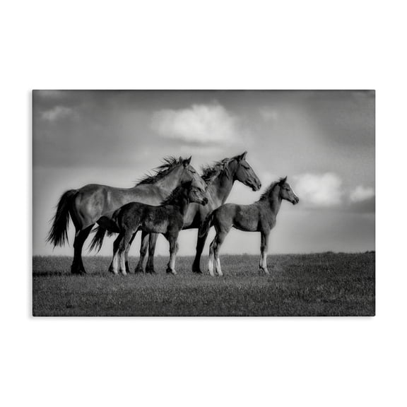 Stupell Industries Babies On Board Horse Family Canvas Wall Art design by Wendy Caro, 16 x 24