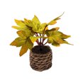 thumbnail image 2 of Title: Fall Decorations for Home with Woven Basket, Fall Table Centerpiece Artificial Maple Leaf Plant in Plastic Planter for Thanksgiving Table Decor, Housewarming Gift 1Pc, 2 of 6