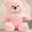 Pink, variant on Nebwoak Plush Toys for Girls 3.6 Years Bear Doll Children's Gift Soothing Sleep Accompanying Cute Birthday Gift Princess Plush Toy Boys And Girls Holiday Gift Parent Child interactive Toy