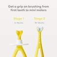thumbnail image 3 of Frida Baby Juego de Cepillos de Dientes Entrenamiento Crecer Conmigo, 3 of 6