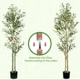 thumbnail image 2 of Tall Faux Olive Tree 7ft - Realistic Tall Silk Olive Trees Artificial Indoor Decor - Potted Fake Olive Tree with Branches and Fruits - Artificial Olive Trees for Home Office Decor Indoor, 2 of 6