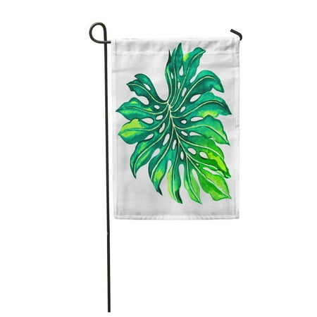 Flower Garden Palm Beach KDAGR Watercolor Flower Single Palm Leaf Monstera Green Tropical Drawing Tree Exotic Garden Flag Decorative Flag House Banner 12x18 inch ()