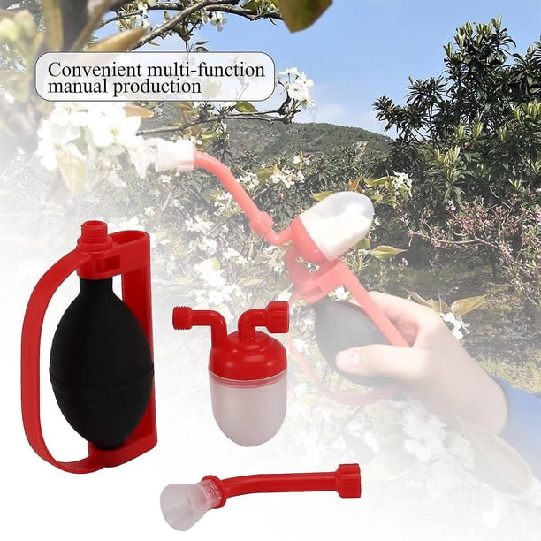 Polinizador Tomate árbol Peral Kiwi Planta Fruta Flor Máquina