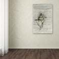 thumbnail image 4 of Trademark Fine Art 'Murex Shell' Canvas Art by Cora Niele, 4 of 4