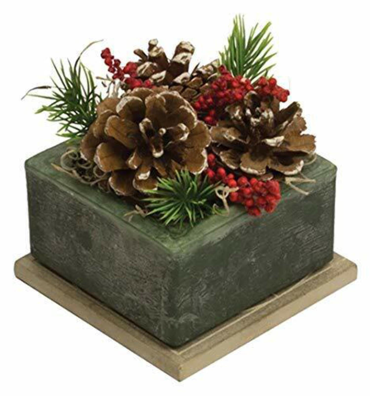 Habersham Candles Wax Pottery Geo Scented Succulent Cube Bowl, Frosted Pine Cone