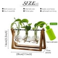 thumbnail image 2 of Terrario para plantas XXXFLOWER con soporte de madera y jarrón de 3 bulbos, 2 of 6