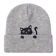 thumbnail image 1 of TINZ Women's Embroidered Cat Cat Animal Knitted Hat Cold Cap for Men Mad Rabbit Frock, 1 of 2