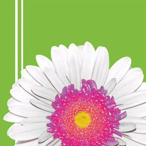 Floral 'Daisy Power' Lunch Napkins (18ct)